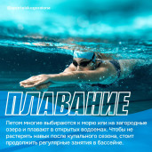 Осень на старте! 2