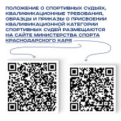 Спортивный судья 3