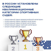 Спортивный судья 4