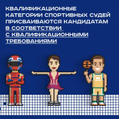 Спортивный судья 6